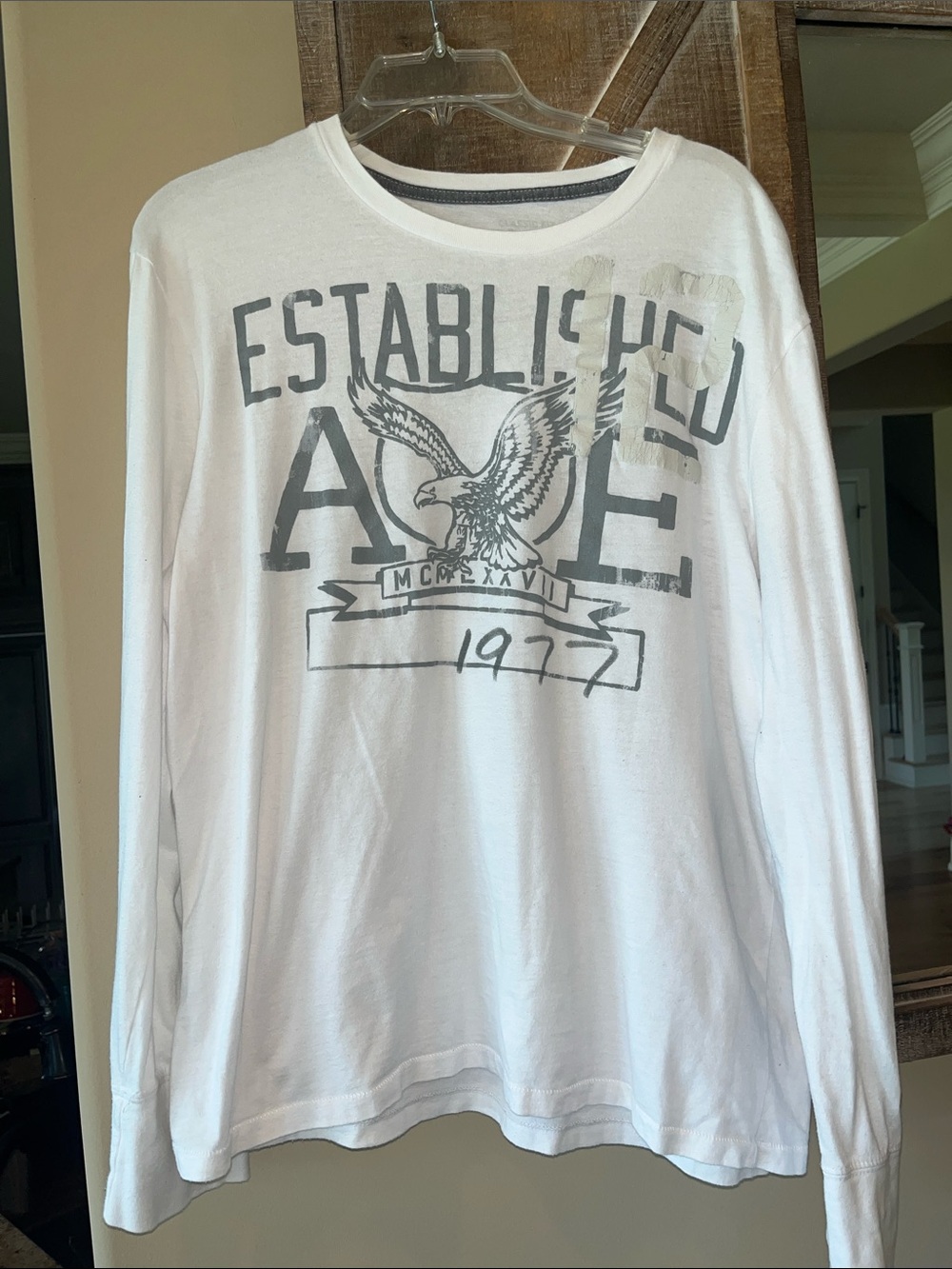 American Eagle Outfitters White Long-Sleeve Graphic Tee with Gray Eagle Print